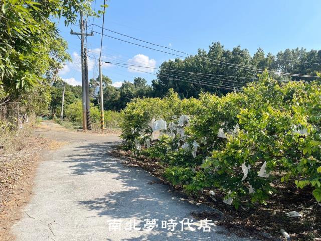 台南楠西農地-0