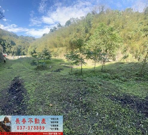 8E290頭屋外獅潭林田