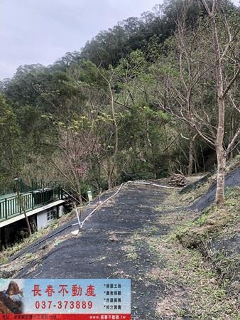 苗栗頭屋農地-2