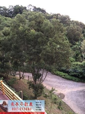 苗栗頭屋農地-3