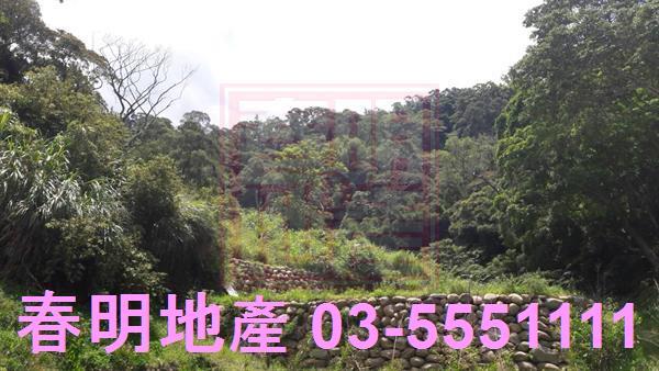 新竹農地-0