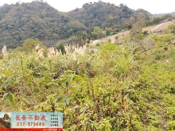 苗栗縣三灣鄉內灣永和山大坪數休閒地春明地產