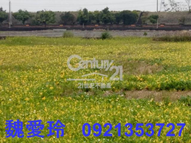 彰化農地-3