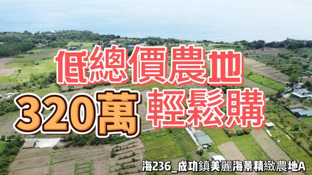 成功鎮美麗海景精緻農