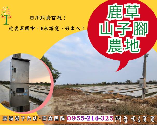 中埔東方明珠旁美農地