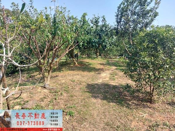 三灣群山環繞景觀山居休閒地