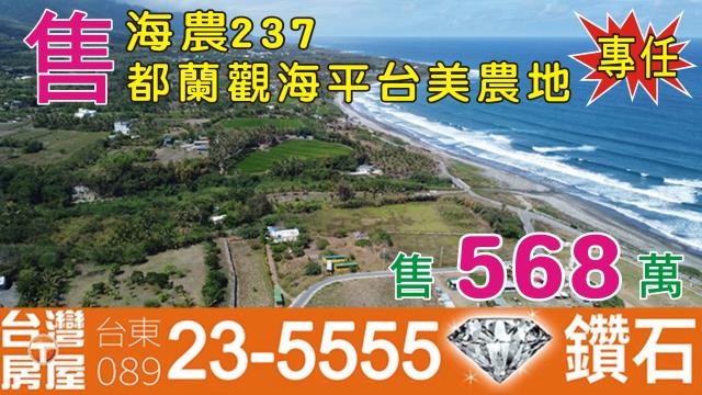 台東農地台東房地產台東土地買賣台東房仲台東仲介市區農地