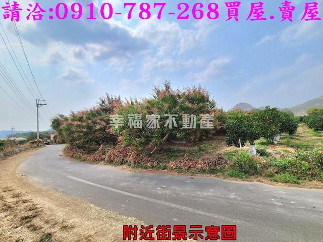 台南玉井農地-10