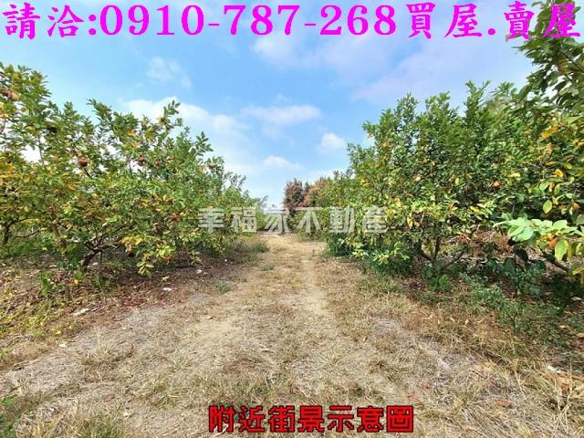 台南玉井農地-2