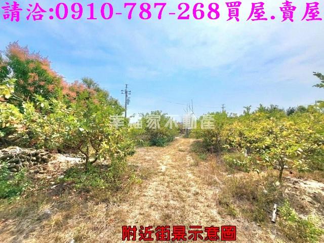 台南玉井農地-5