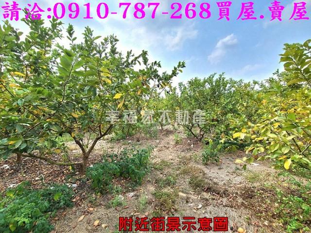 台南玉井農地-7
