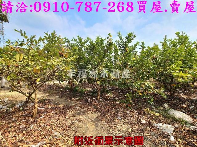 台南玉井農地-6