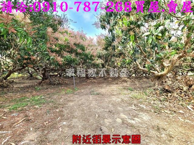 台南玉井農地-7