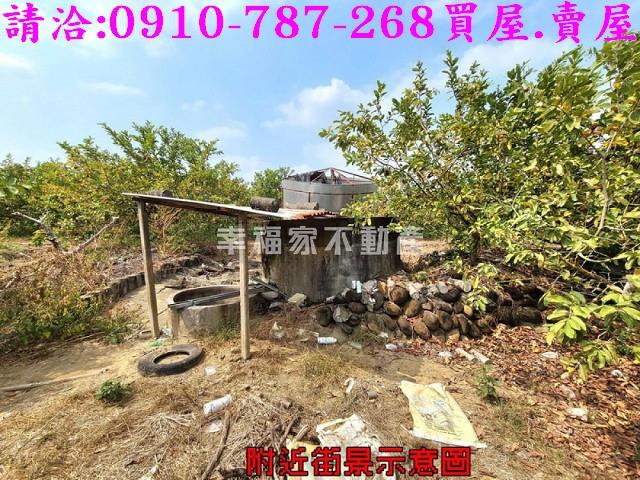 台南玉井農地-8