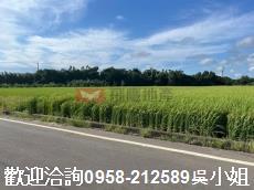 新竹新豐農地-2
