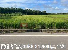 新竹新豐農地-4