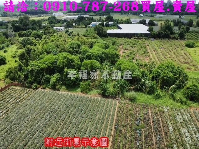 台南山上農地-6