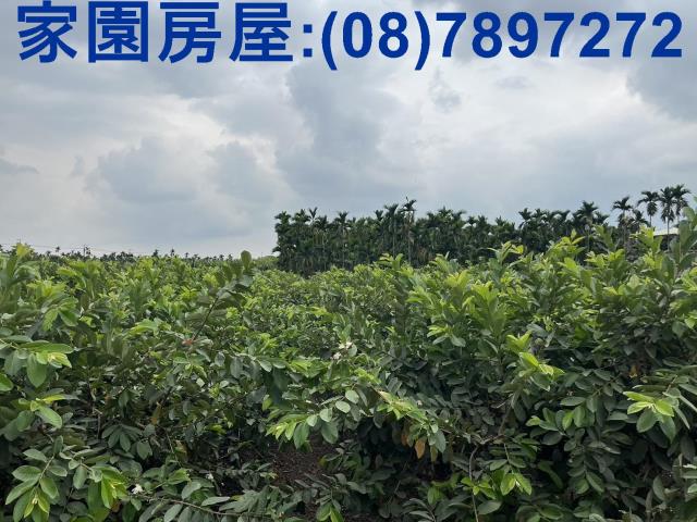 內埔農地內埔千坪農地