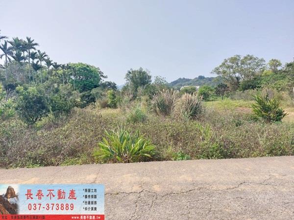 卓蘭油桐花小城堡二