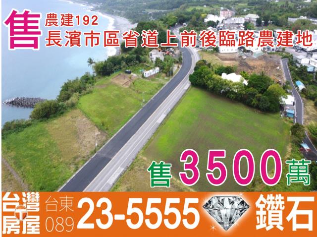 台東農地台東房地產台東土地買賣台東房仲台東仲介海岸線農地