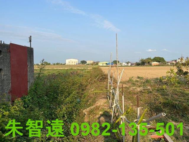 鹽水農地-11