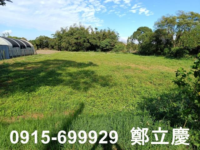 大溪農地-1