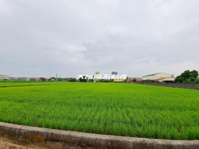 新化市區姑姑茶葉蛋瓜瓜園方正農地