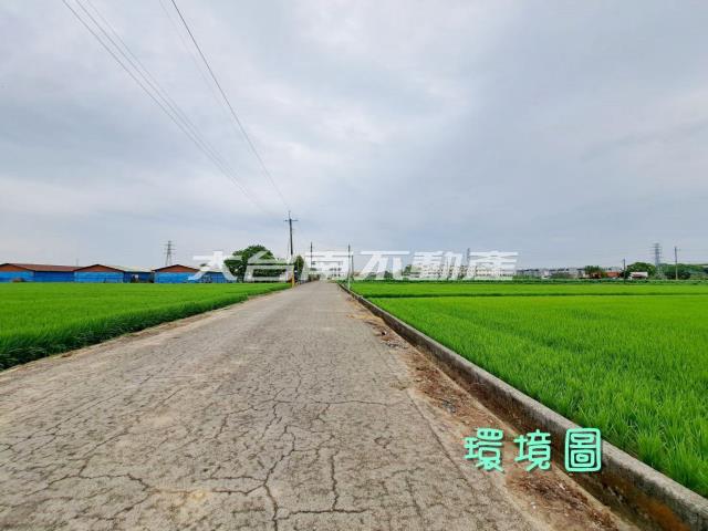 台南善化農地-1