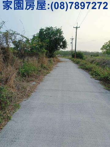 新埤農地-10