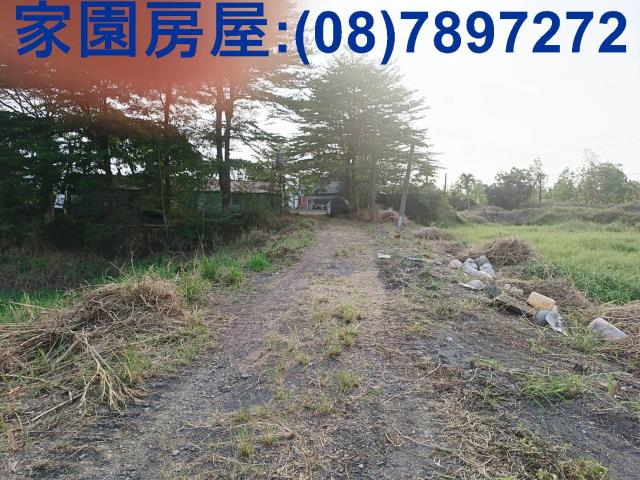 新埤農地-1