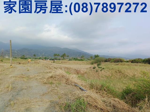 新埤農地-4