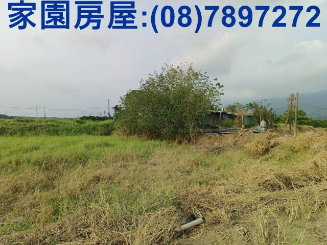 新埤農地-5