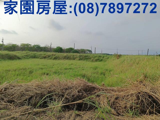 新埤農地-7