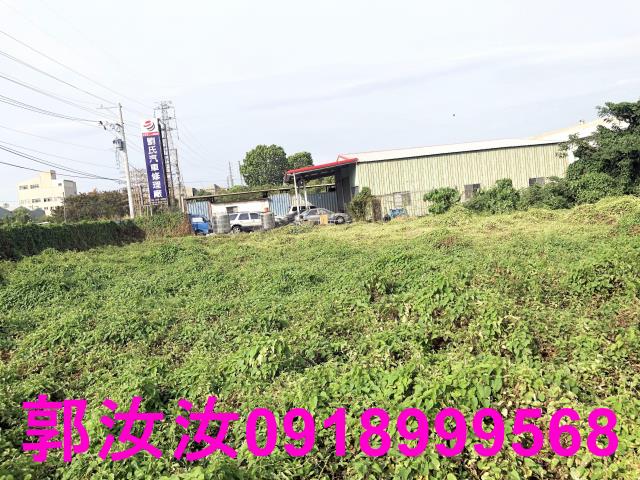 台南仁德農地-3