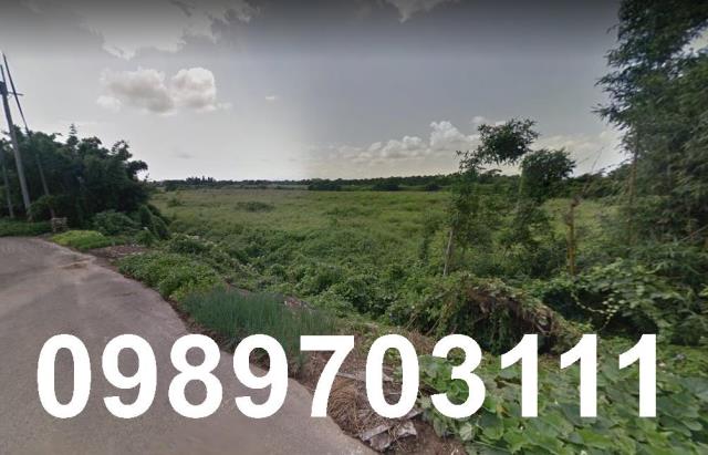 桃園新屋農地-1