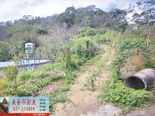 8F169大湖正台三線農地