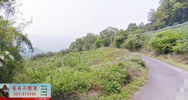 卓蘭坪林椪柑園