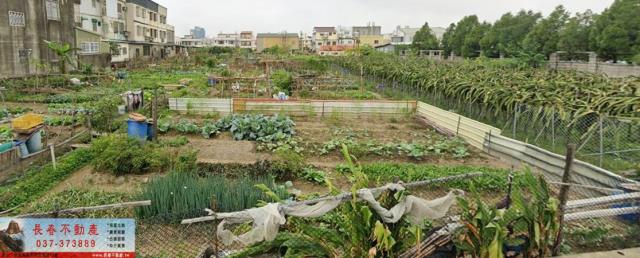 8F525西湖丙建農牧地