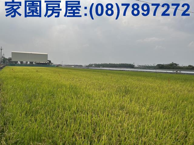 屏東萬丹農地-3