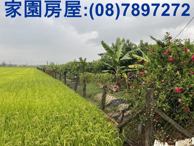 屏東萬丹農地-6