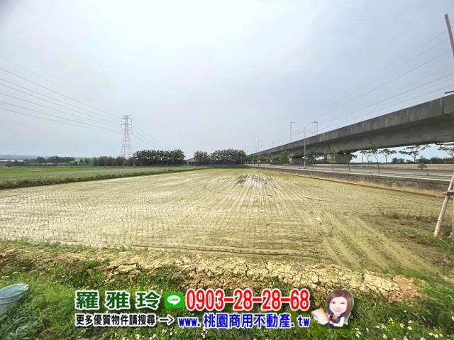楊梅農地-5