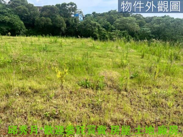 新北淡水農地-2