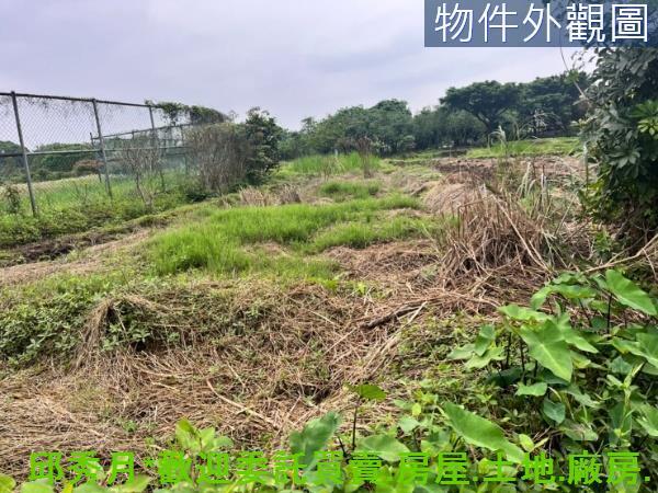 新北三芝農地-2