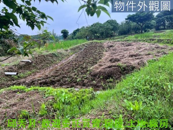 新北三芝農地-3