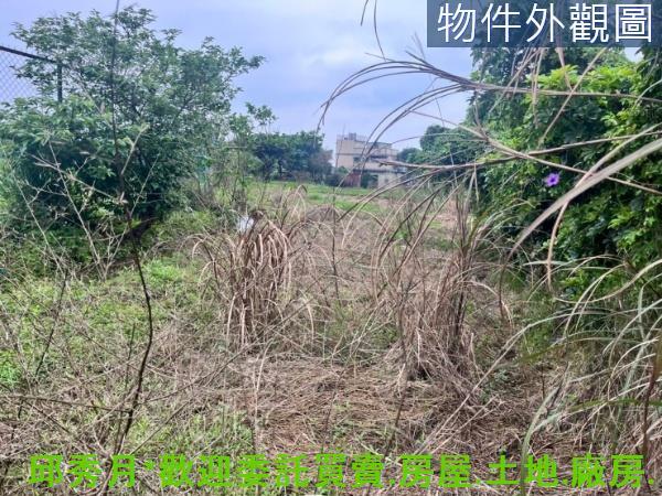 新北三芝農地-5