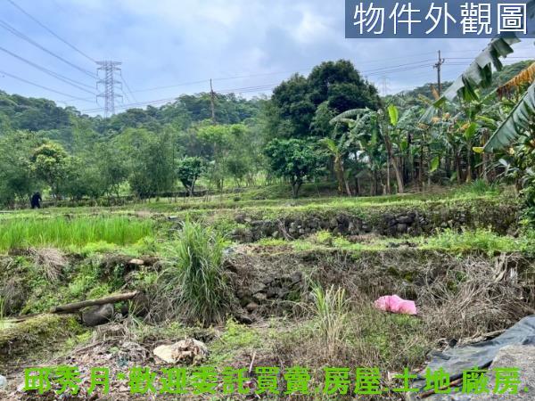 新北三芝農地-1