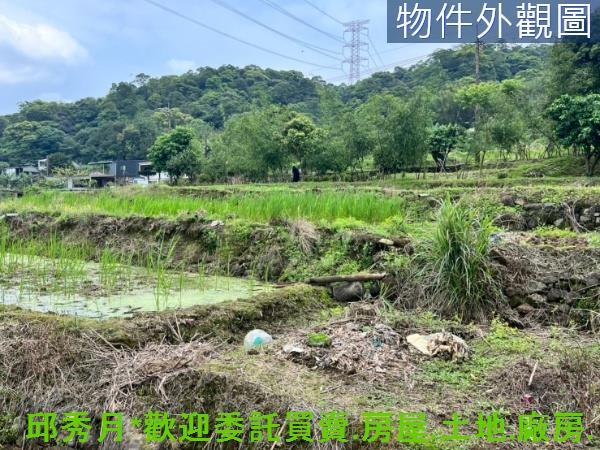 新北三芝農地-2