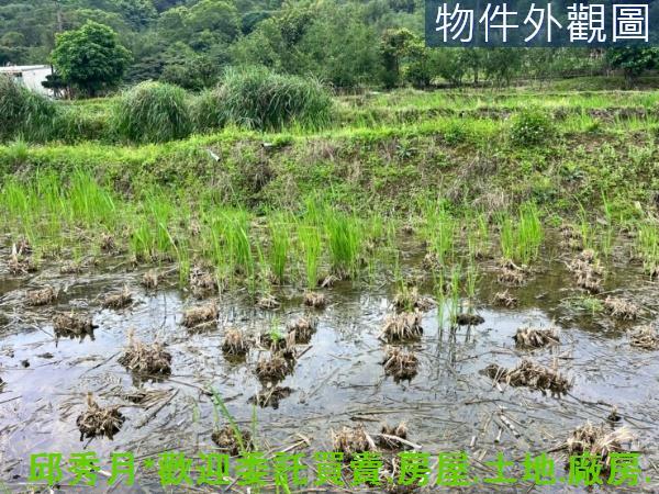 新北三芝農地-3