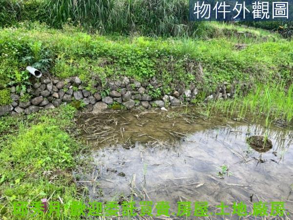 新北三芝農地-4