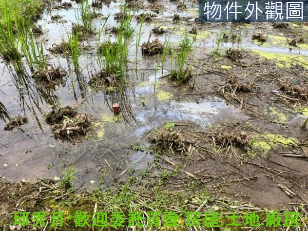 新北三芝農地-5